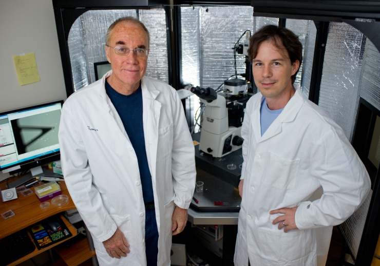 New Georgia Tech research shows that cell stiffness could be a valuable clue for doctors as they search for and treat cancerous cells before they’re able to spread. Professor John McDonald (left) and Assistant Professor Todd Sulchek led the study.