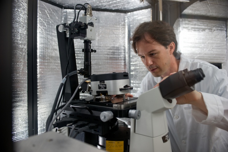 Assistant Professor Todd Sulchek used a process called atomic force microscopy (AFM) to study the mechanical properties of various ovarian cell lines. A soft mechanical probe “tapped” healthy, malignant and metastatic ovarian cells to measure their stiffness.