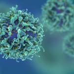 iStock cancer cell